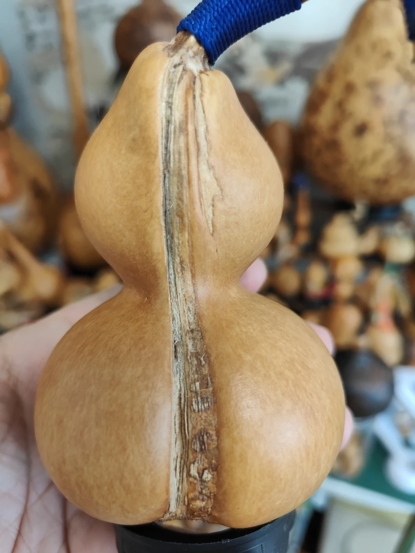 天然葫芦双脐小猪文玩小葫芦葫芦手把件