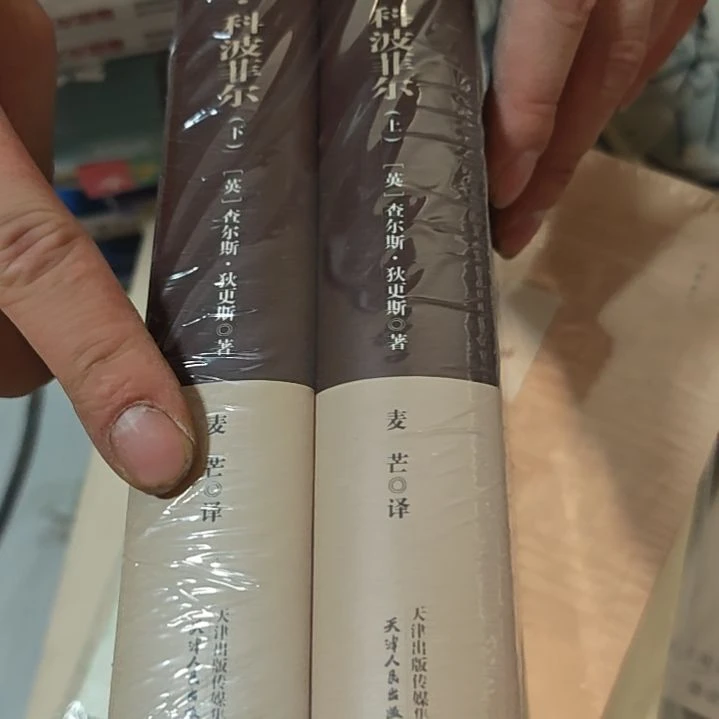 大卫科波菲尔两本一套