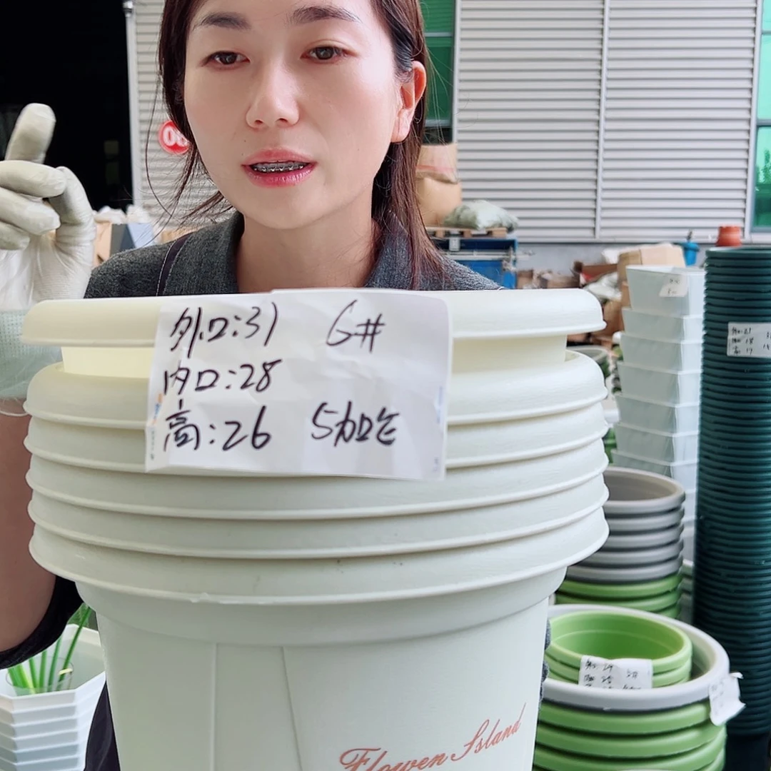 青山盆6#米白5个无托