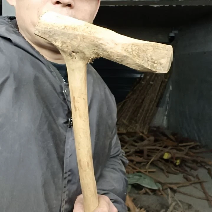 稳定木w*天贵州檬子木   铁马鞭   根艺  半成品