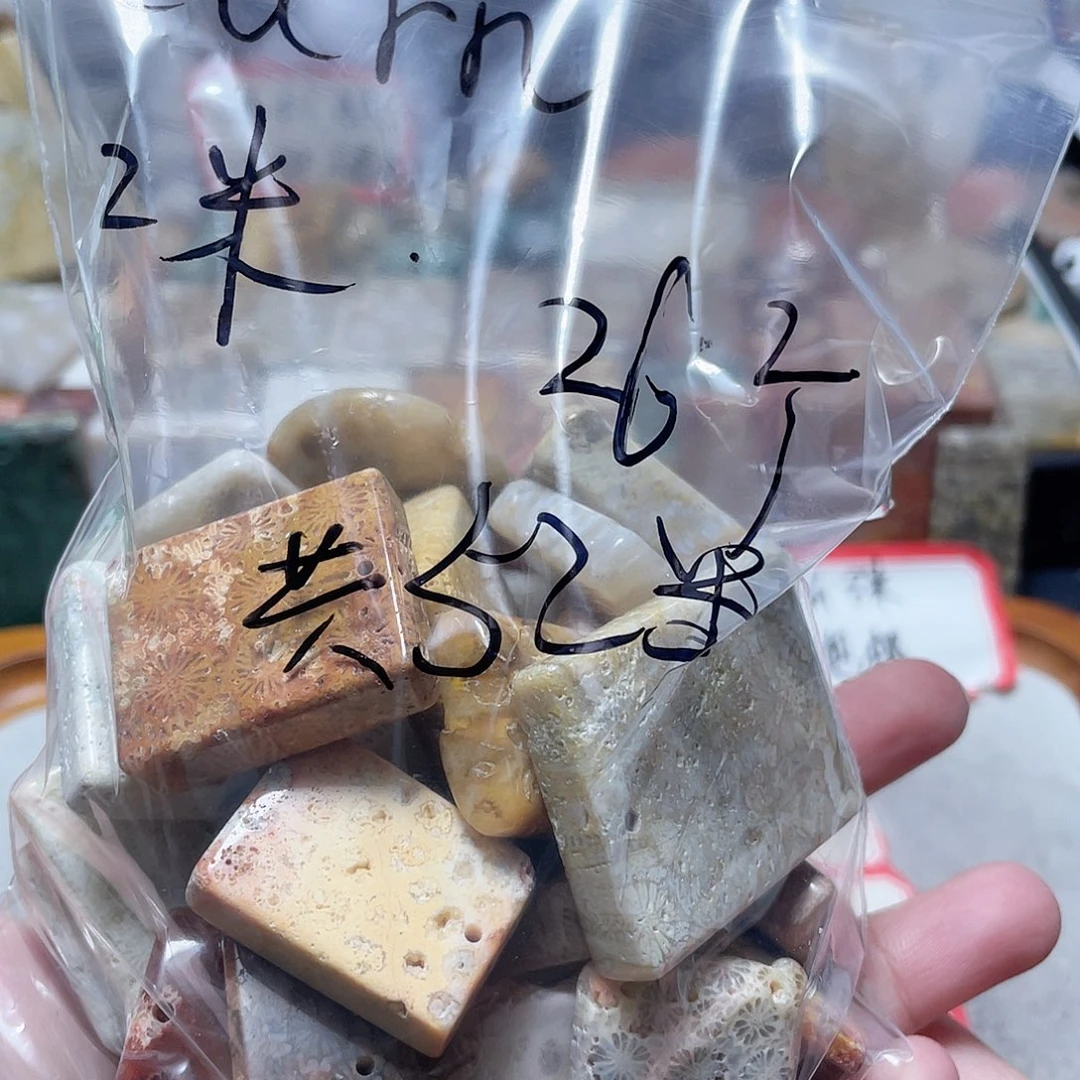 t***n硅化珊瑚（珊瑚玉）合金颈饰