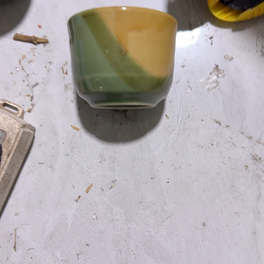 茶盏好想和她谈心聊天的样子呢哈