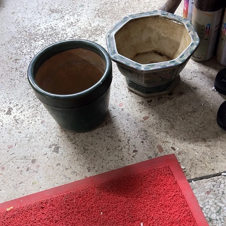 红陶墨**语。。。。。。。。。。。