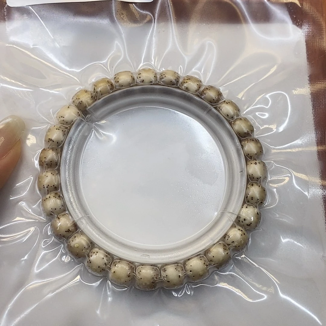 手串星月菩提8x7冰糖大眼睛针尖星