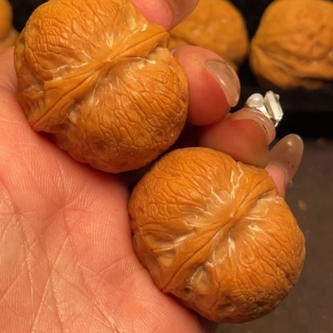 文玩核桃吊坠秦岭野生核桃