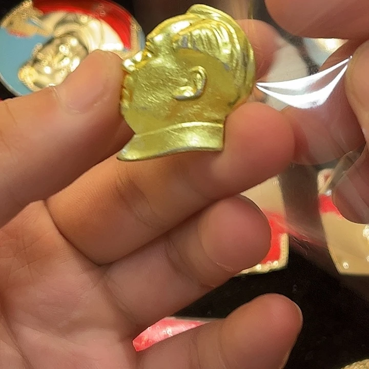 白***林一一一一一一一高贵轻扬