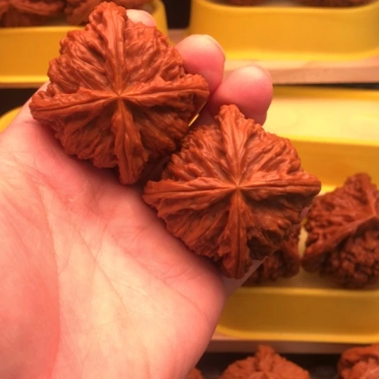 凸***核桃核桃核桃核桃咯核桃