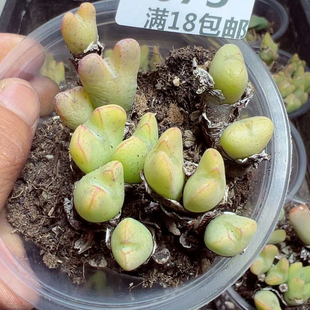 【闪购商品】 675。  
