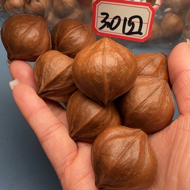 棪***森橄榄核手串橄榄核