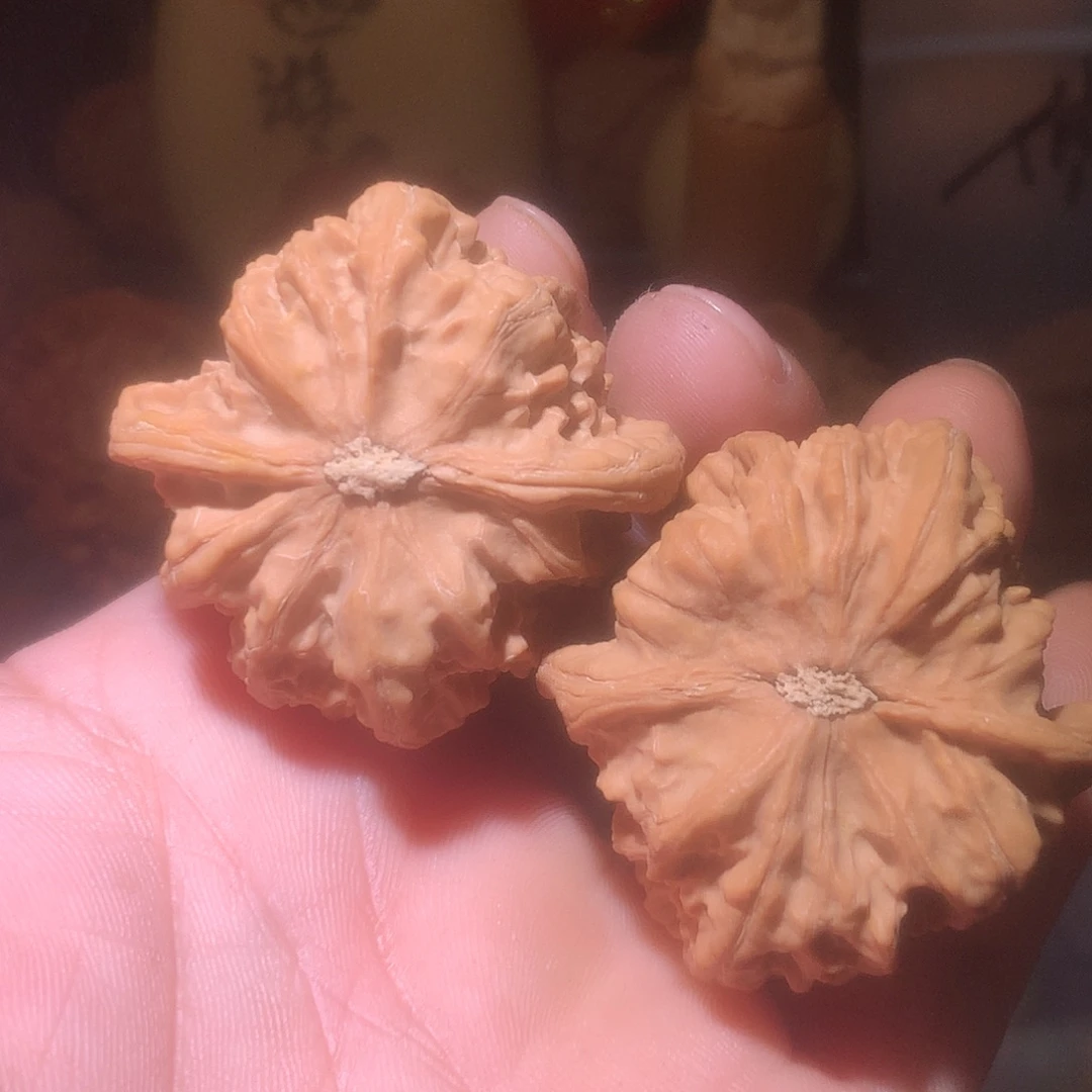 2***9核桃承德火焰马蹄
