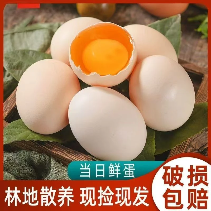 【沂蒙山区】正宗农家散养新鲜土鸡蛋柴鸡蛋营养孕妇谷物整箱批发