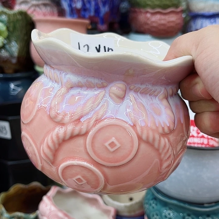 多肉植物陶瓷花盆