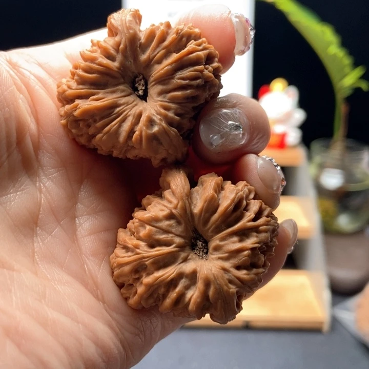 核桃手串/手链褴*、5号高炮拉丝凹底老核