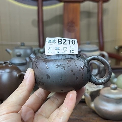 戬谷龙窑柴烧茶壶210