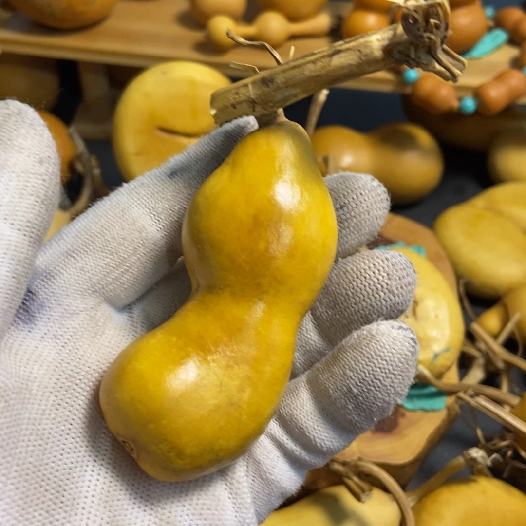 随****5葫芦葫芦真的