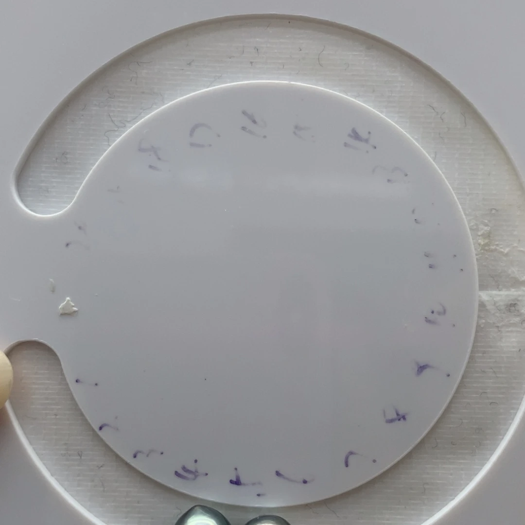 未镶嵌海水珍珠裸珠