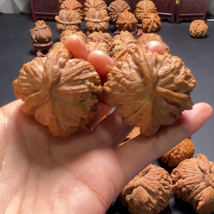 白狮子两棱挂角43尺寸核桃哈哈哈哈哈哈