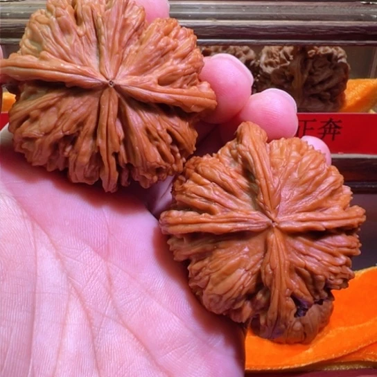 土豪级无缝隙白师子球连51.5边33高