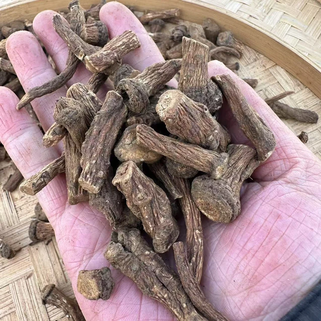 【霞姐推荐】长白山 原产地 蒲公英根