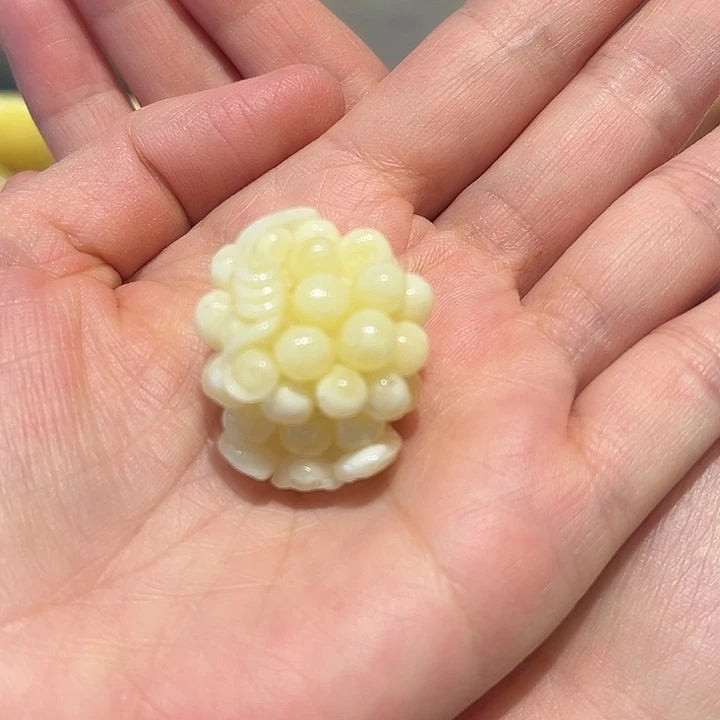 琥珀未镶嵌颈饰葡萄