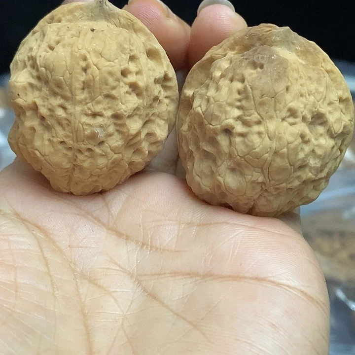 文玩核桃把件云南铁核桃基地58