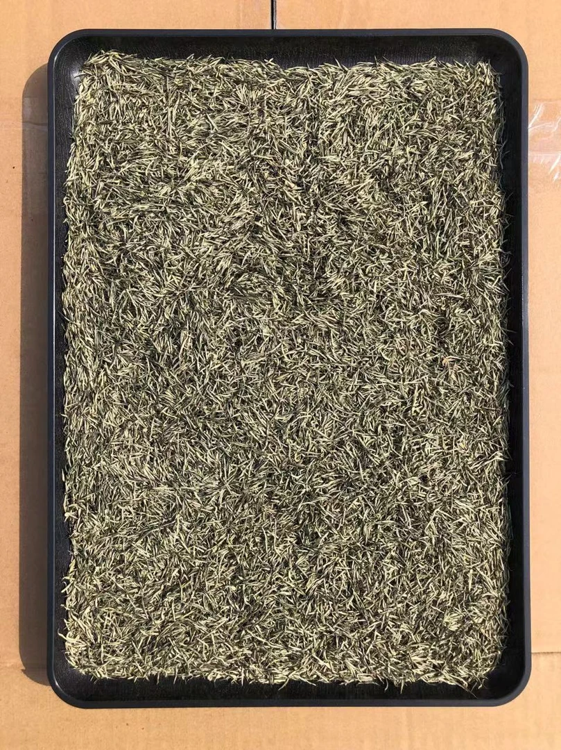 品茗芬源头直收早春灵露川派毛尖DD1