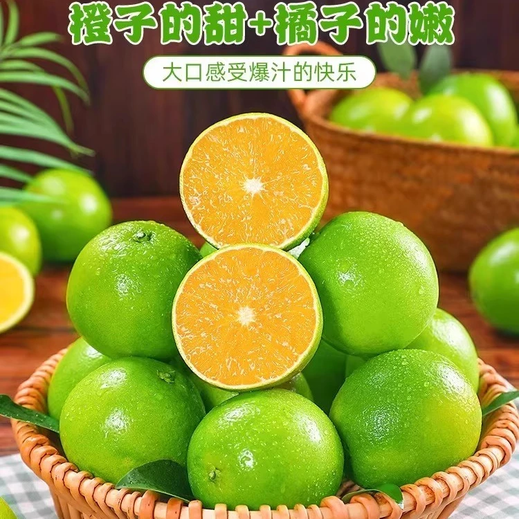 【老树采摘】云南冰糖橙爽口香甜多汁橙子榨汁孕妇秋季水果