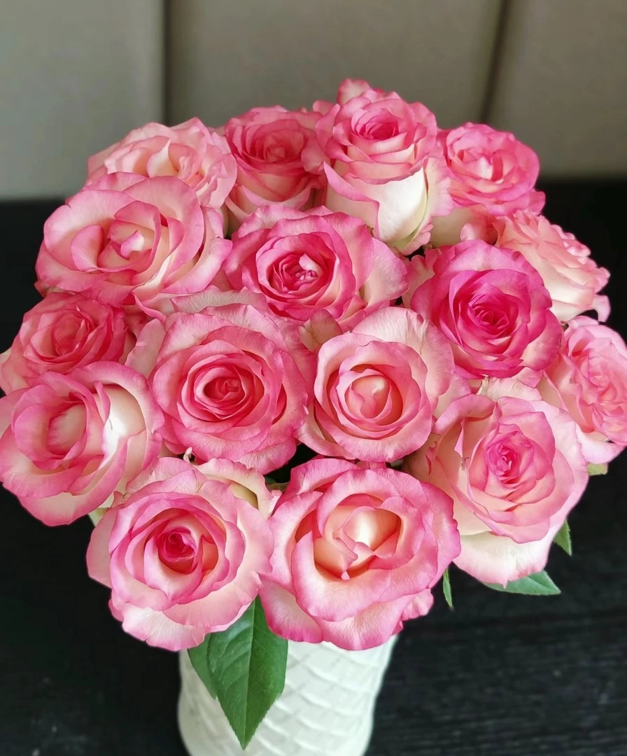 鲜花【艾莎玫瑰】同一地址一单包邮，两单送配草