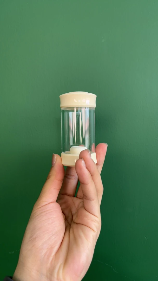 螽庆掌中宝 可养竹蛉 仙子 黄蛉