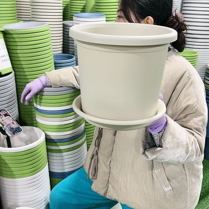 特价4号四季口25高21.5米色5只带托