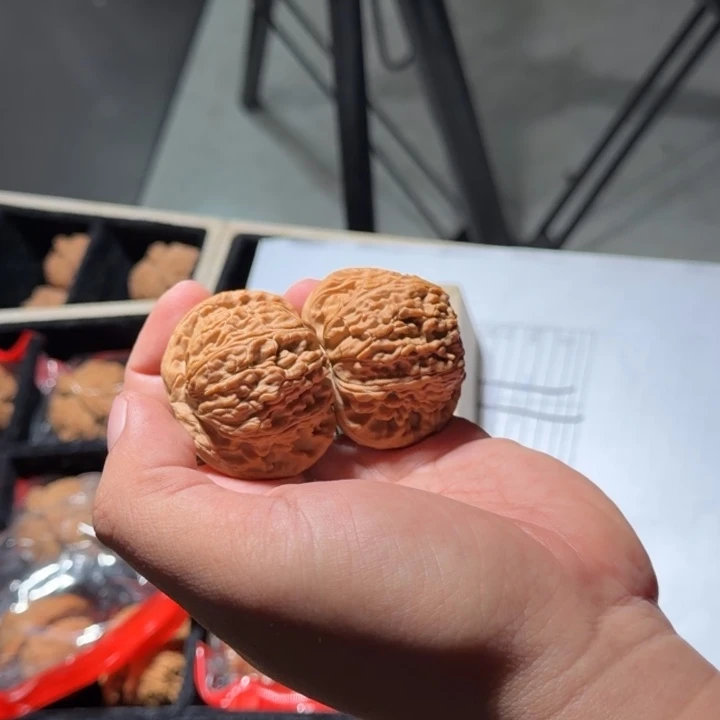 文玩核桃把件997号46-48mm全品白狮子