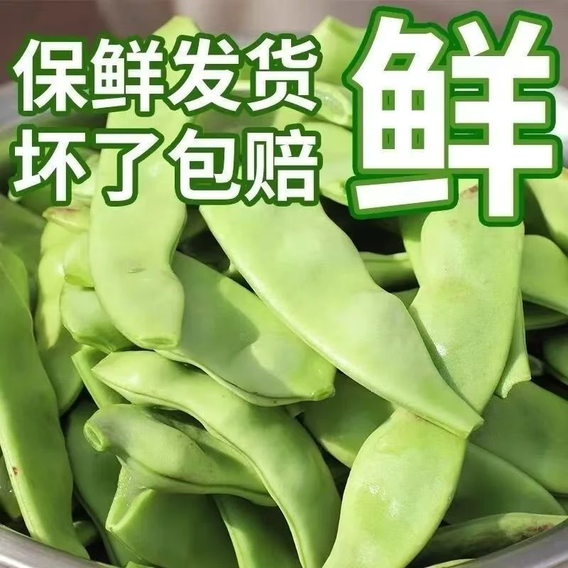 东北老油豆陆地豆角无筋豆角东北开锅烂豆角新鲜豆角当季扁豆角