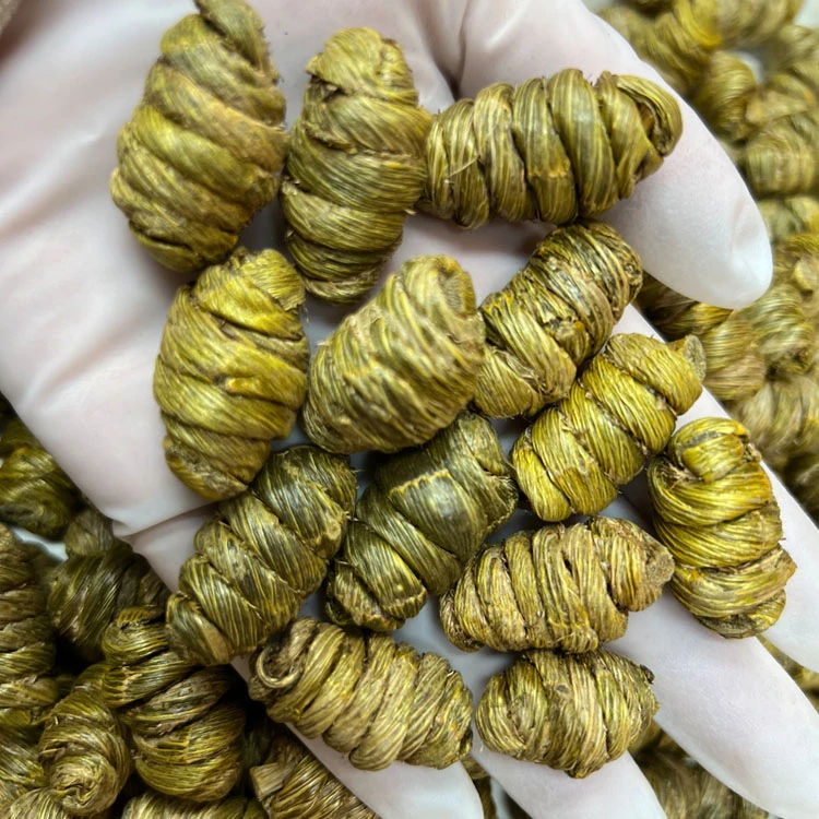 精选石斛粒 枫斗 干货 煲汤煮水