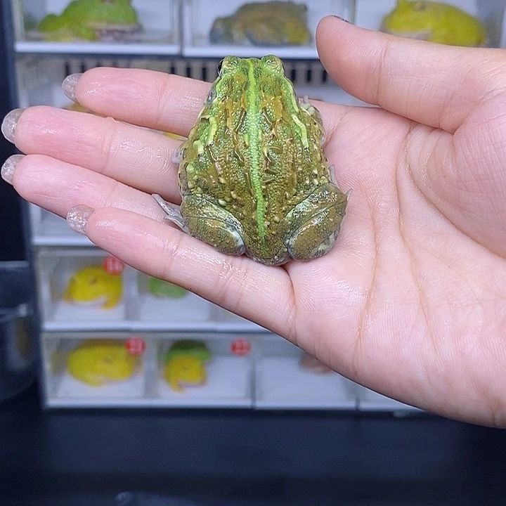 特价秒杀现货特价