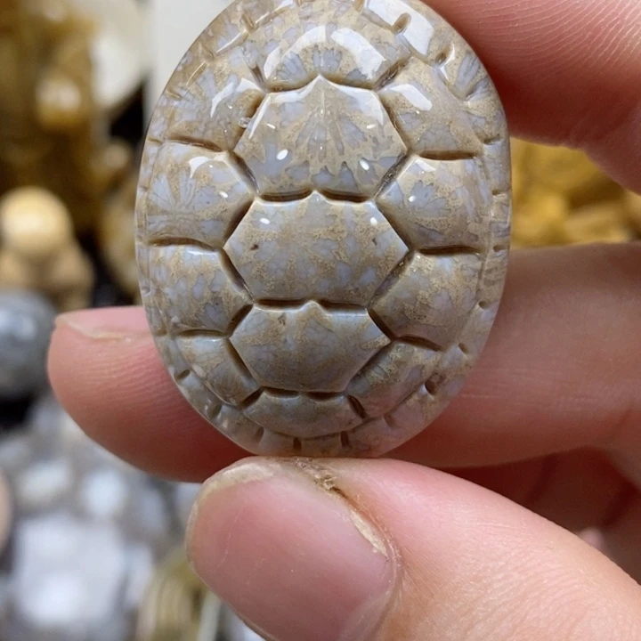 颈饰未镶嵌硅化珊瑚（珊瑚玉）