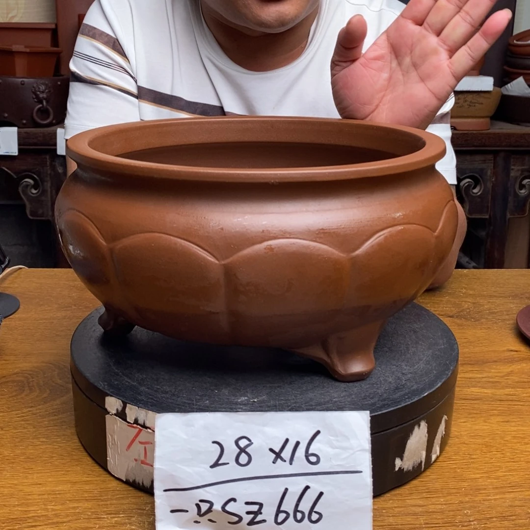 紫砂货号一只SZ666