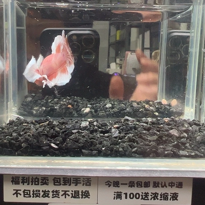 斗鱼竞拍跑单拉黑27日28