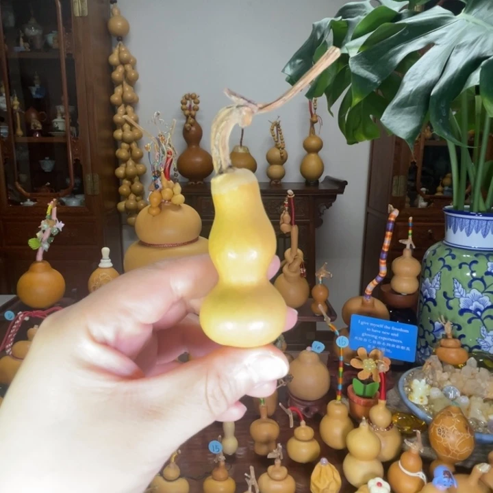 粗粗嘴八宝葫芦厚皮响籽