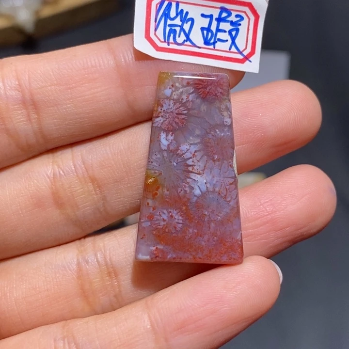 【闪购商品】未镶嵌珊瑚玉硅化玉