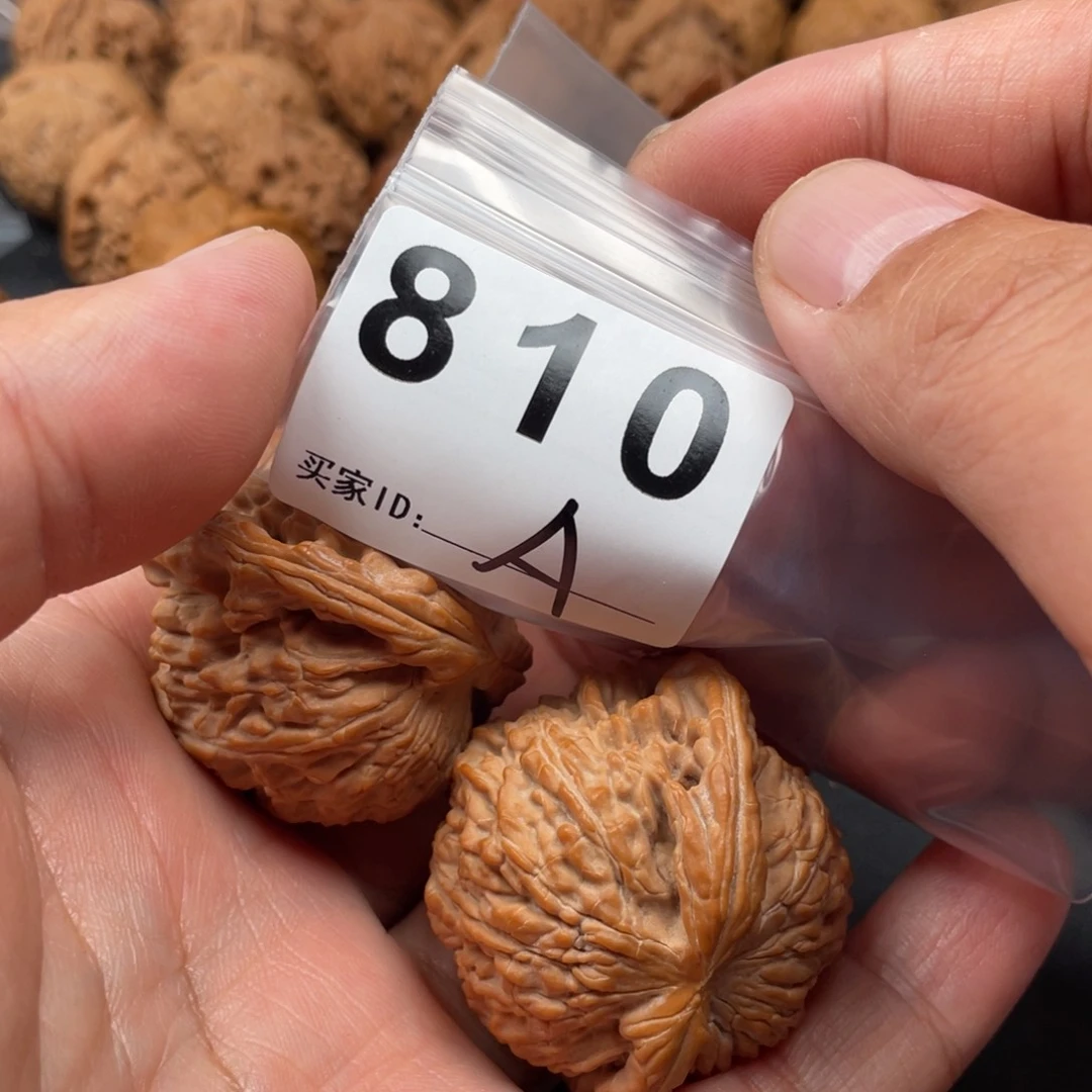 菩提根/象牙果吊坠大****滴白狮子44
