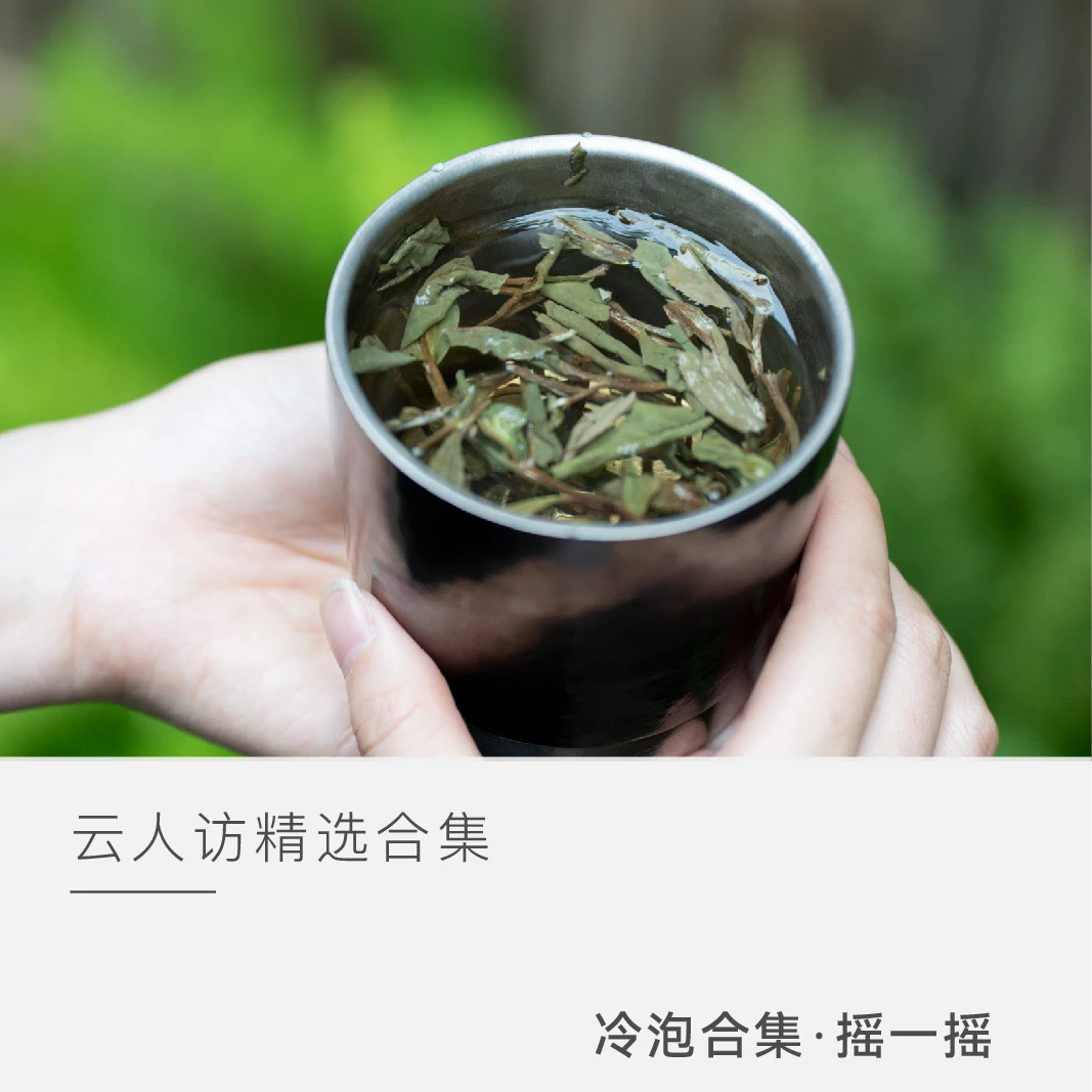 【冷泡合集4.0】摇一摇   茶叶品鉴合集  云人访精选合集