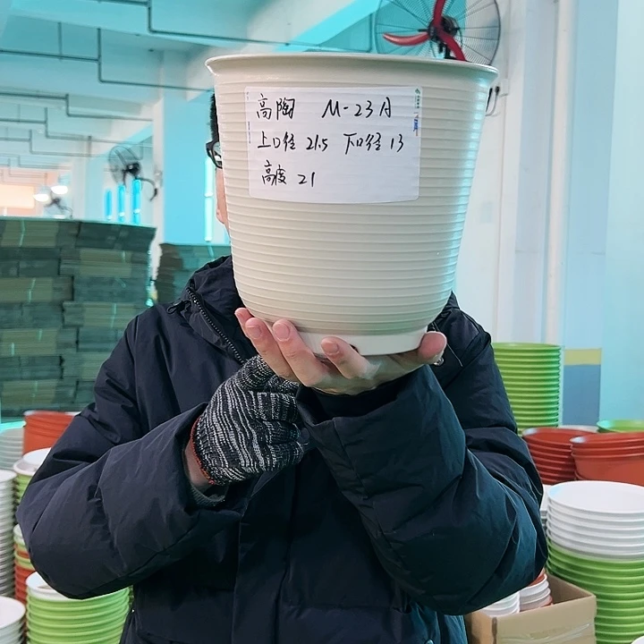 正品高陶口21高21米色无托6只