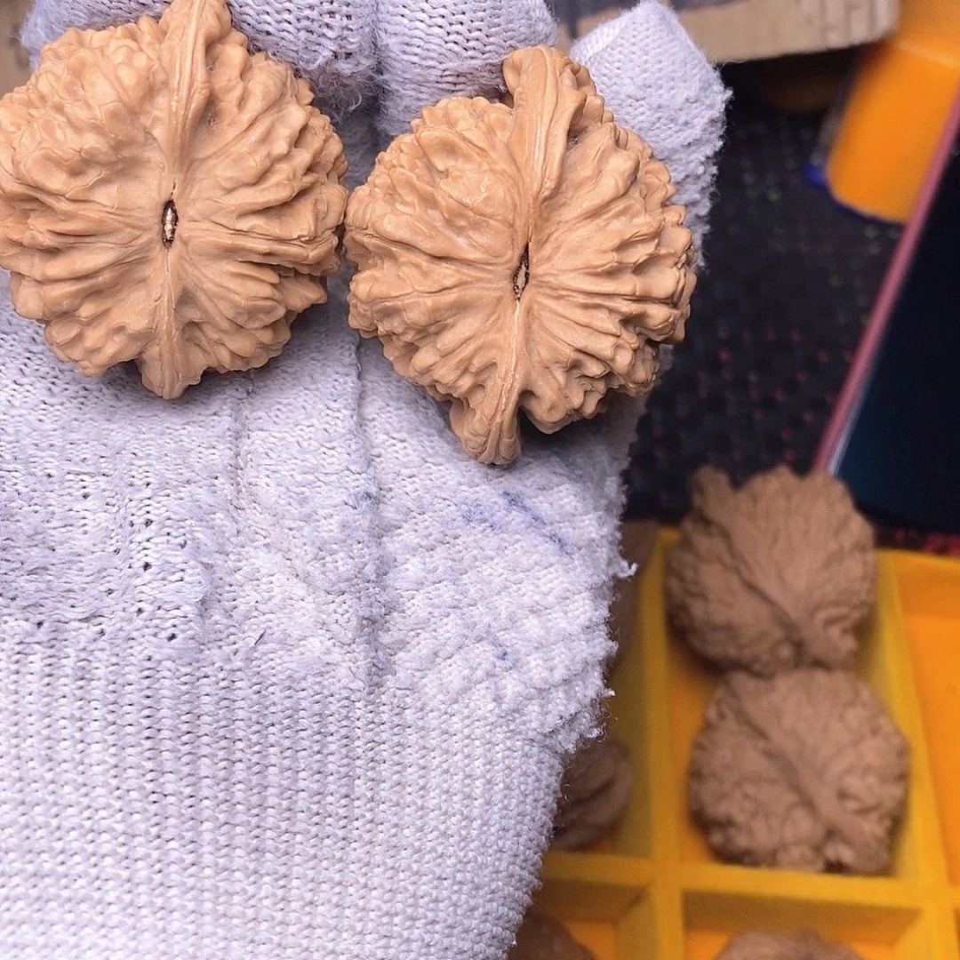 桃核把件潜**阳官帽核桃