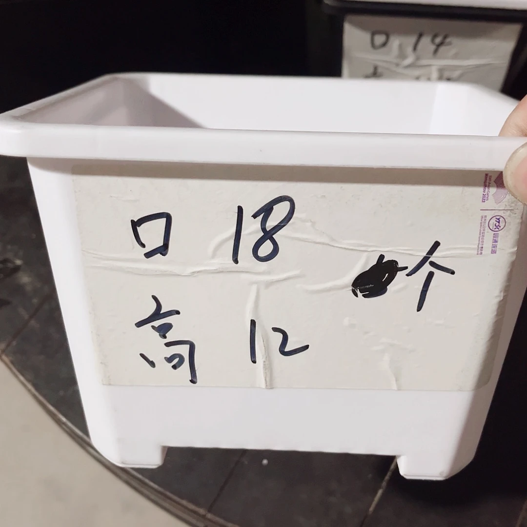 塑料升级款景天18方白色盆20个无托
