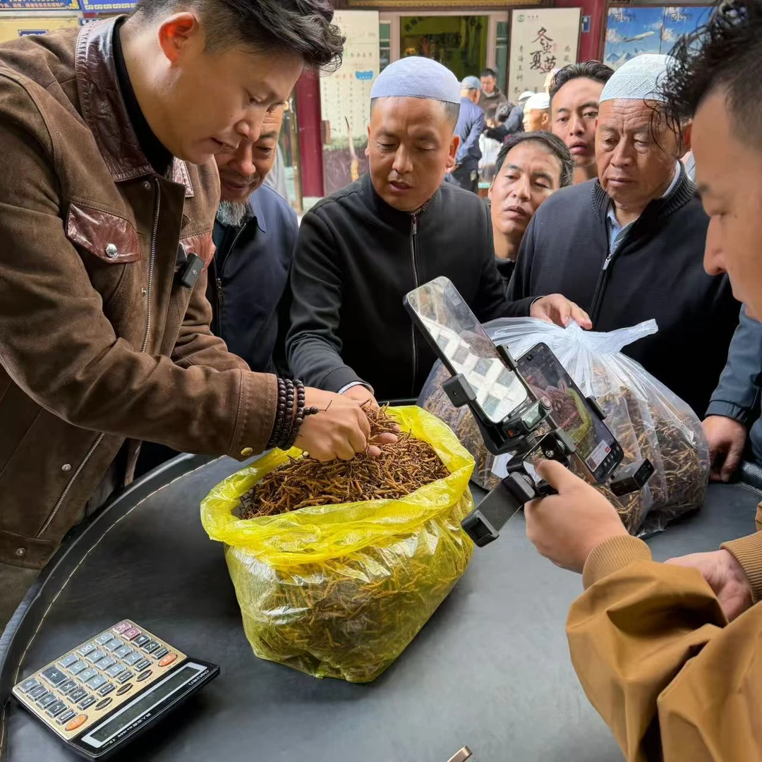 【冬虫夏草】48克打包货蔽草 实惠  滋补佳品根根高海拔