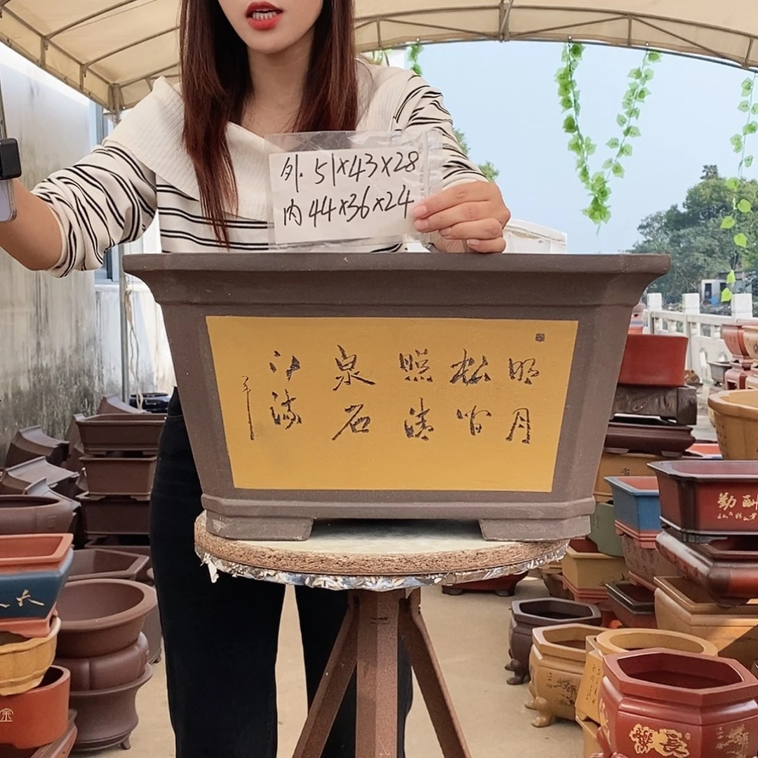 紫砂花盆紫砂花盆