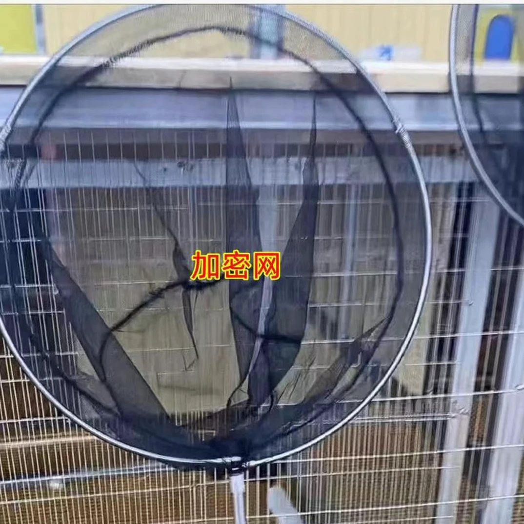 不锈钢伸缩杆折叠网兜加密鸽子抄网鸽用具种鸽幼鸽信鸽鸽子用品