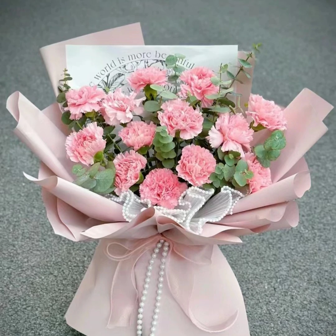 康乃馨送妈妈长辈老师