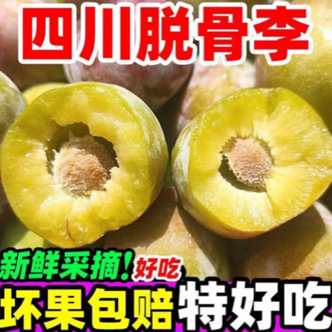 B2【四川半边红】四川脱骨李子5斤现摘孕妇新鲜水果当应季推荐