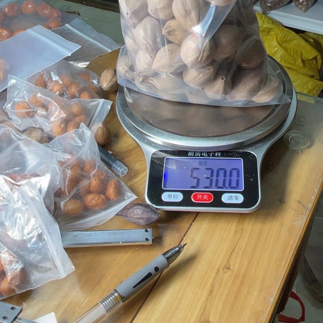 雨***飞橄榄核手串/手链不打孔